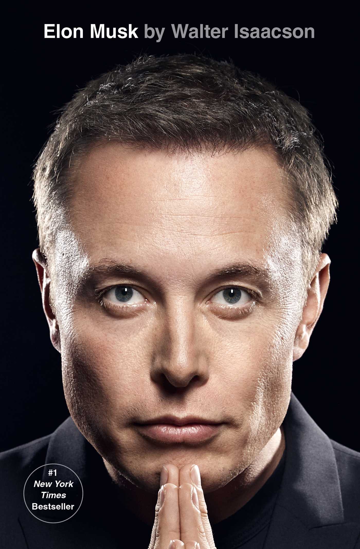 Elon Musk portrait